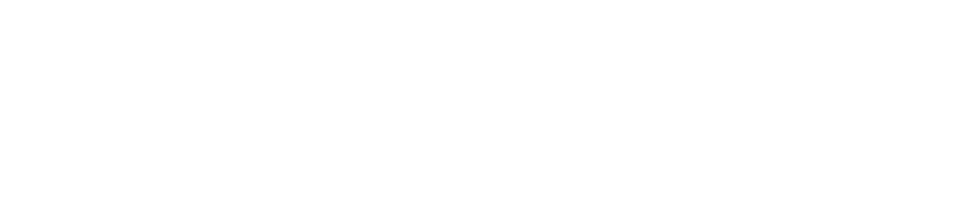 dev.adeptive.eu